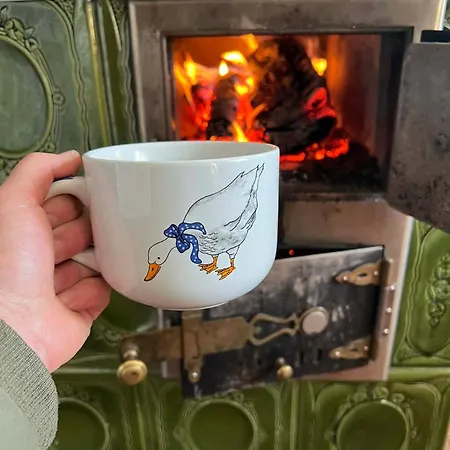 Petka Tatil Evi Rudník